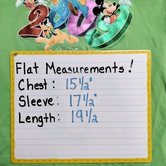 Disney Shirt Girl's Green 2009 Hooded Long Sleeve Logo  Size Large - Picture 9 of 9